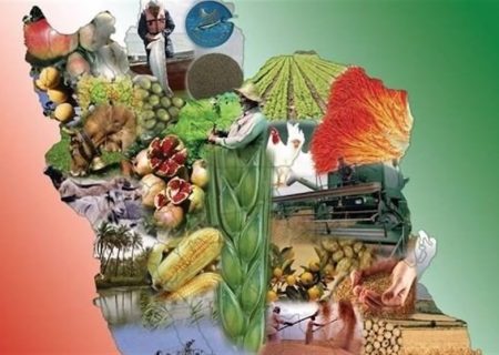 برگ برنده ایران در تامین امنیت غذایی/انبارها پُر از کالاست